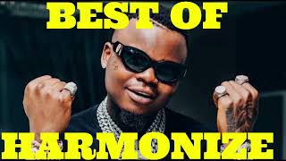 BEST OF HARMONIZE SONGS 2024 [upl. by Ennyleuqcaj]