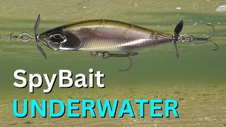 How Does The Duo SPYBAIT Lure Look Underwater  FISHING [upl. by Purington]