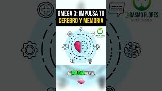 Omega3 impulsa Tu Cerebro y Memoria omega3 [upl. by Yrtua]