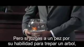 Video para reflexionar sobre la educación  prohibido no verlo [upl. by Madaih]