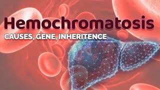 HEMOCHROMATOSIS GENETIC DISORDER OF LIVER BSC NURSING 2024 [upl. by Nylirehc715]