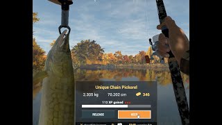 Fishing Planet  How to catch Unique Chain Pickerel at Emerald Lake New York [upl. by Yssirk]