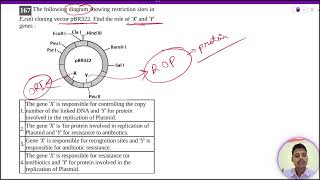 The following diagram showing restriction sites inEcoli cloning vector pBR322 Find the role [upl. by Steinway]