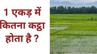 1 एकड़ में कितना कट्ठा होता है  ek ekad mein kitna kattha hota hain  1 acre mein kitna kathha [upl. by Barth]