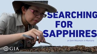 Passion and Searching for Sapphires [upl. by Jepson525]