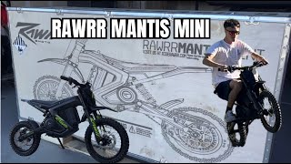 I BOUGHT A rawr mantis mini [upl. by Meris]