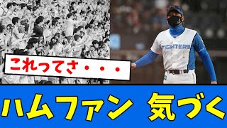 【気づく】ハムファン「今回の戦力外さ・・・」【プロ野球反応集】【2chスレ】【5chスレ】 [upl. by Nolyad242]