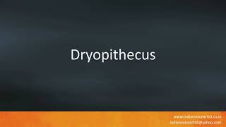 How to pronounce quotDryopithecusquot [upl. by Halla]