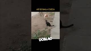 Así se baila LA CUECA  DOBLAO [upl. by Llekcir]