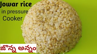 జొన్న అన్నం తయారీ Jonna annam in pressure cooker  Jonna annam recipe in telugu  Jowar rice recipe [upl. by Eyoj193]