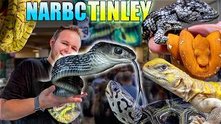 The RAREST Reptiles at TINLEY PARK NARBC 2024 [upl. by Erme]