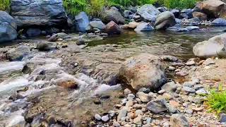 soothing relaxing music river water sounds for relaxation sleep study meditation spa asmr [upl. by Edwards]