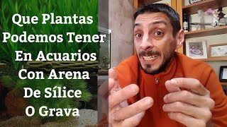 🔵 Que Plantas Podemos Tener En Acuarios Con Arena De Sílice O Grava Sin Sustrato Acuarios MB [upl. by Asilana994]