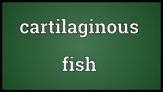 Cartilaginous fish Meaning [upl. by Imrots218]