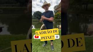 LULA PESCA PEIXE DE 6 QUILOS  SHORT [upl. by Fiel]