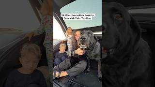 36 Hour Evacuation Roadrip Solo with Twin Toddlers hurricanemilton hurricane florida evacuating [upl. by Shaina]