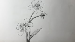 Flower Drawing tutorial [upl. by Lerner]