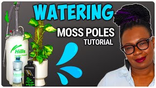 Watering Moss Poles  DEFINITIVE Guide For Moss Pole Lovers [upl. by Ahseila410]