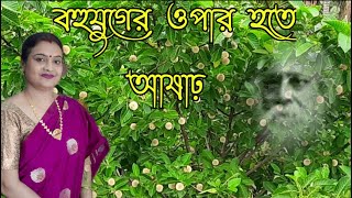 Bahu Juger Opar Hote Asa  Rabindrasangeet  Manjari Pal Barshar Gaan [upl. by Anyah734]