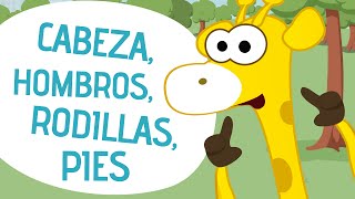 Cabeza hombros rodillas pies  Canciones Infantiles  Toobys [upl. by Alitta]