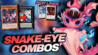 SnakeEye Combos Post Banlist And LEDE Support Ft SnakeEyes Diabellstar [upl. by Manup]