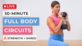 30Minute Full Body Circuits [upl. by Aisila]