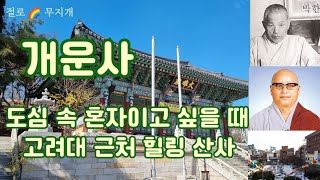 사찰 기행 개운사 도심 속 혼자이고 싶을 때 고려대 근처 힐링 절 성북구 안암산 Gaeunsa Temple in Anamsan Seongbukgu Seoul Korea [upl. by Alamak590]