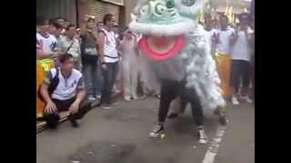 Jow Ga Lion Dance  陳山聰 amp 郭政鴻 醒狮 [upl. by Tterej]