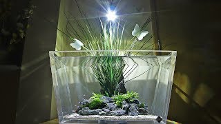 Aquascape Therapy  Unique Aquariums in the Care Community [upl. by Angadreme]