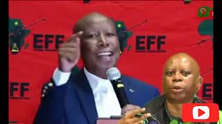 Julius Malema EFF Vs Herman Mashaba ActionSA About stuttering😂😂 [upl. by Ragucci]