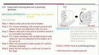 VIDEO ON IRRITABILITY  CELL REACTIONS AND ITS ENVIRONMENT [upl. by Ennagrom565]