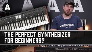 10 Reasons Why the Behringer DeepMind 12 is the Perfect First Synth [upl. by Ybhsa]