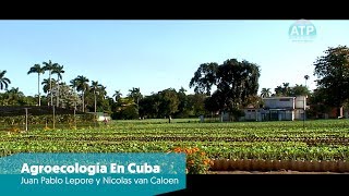 AGROECOLOGIA EN CUBA 2017  Juan Pablo Lepore amp Nicolás Van Caloen  CineArgentino  ATP [upl. by Darryn]