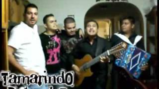 EL SR MAYO ZAMBADA ORIGINAL  ENIGMA NORTEÑO COMPOSICION ORIGINAL [upl. by Zarah]