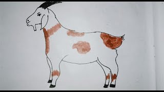 easy drawing for kids  easy drawing goat drawing drawing viralvideo youtube art craft [upl. by Mccandless]