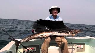 Sailfish fishing at Kuala Rompin Malaysia  multiple hook ups [upl. by Nnodnarb]