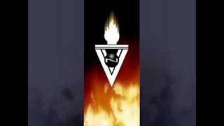 VNV Nation  Arclight [upl. by Akfir]