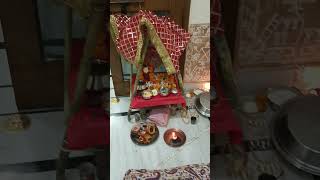 Tulsi Vivah aur Dev Ekadashi ki hardik shubhkamnaye [upl. by Machutte537]