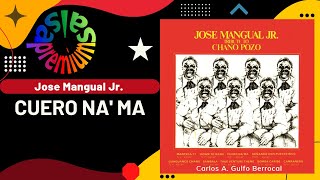 🔥CUERO NA MA por JOSE MANGUAL JR  Salsa Premium [upl. by Naesad]