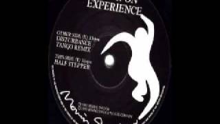 Hyper On Experience  Disturbance Tango Remix [upl. by Alrahc]