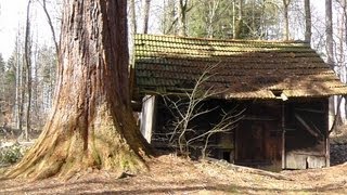 House next to the sequoia tree  Haus neben dem Mammutbaum Naturpark Schönbuch [upl. by Barrington780]