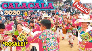 IV Festival de QHONQOTA CALACALA 2020 quotRosalesquot Video Oficial de ALPRO BO [upl. by Leirda953]