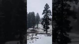 VIDEO Skiresort Gulmarg receives first snowfall of the winter season [upl. by Kindig]