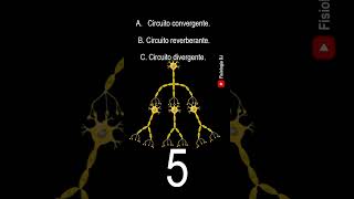 Sistema nervioso  Preguntas y respuestas del sistema nervioso  Fisiología nerviosa [upl. by Paff845]