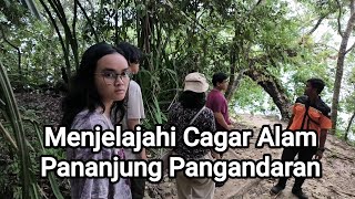 Menjelajahi Cagar Alam Pananjung Pangandaran  Apa Bagaimana Channel [upl. by Rehpotsirk463]