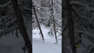 Fantastic Day Powder Skiing through the Trees  La Plagne France [upl. by Weil]