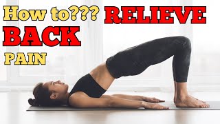 Best Back Pain Relief Exercises amp Stretches  Fitness Harbour 23 [upl. by Namlas]