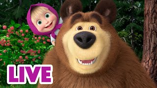 🔴 LIVE 🐻👧 Masha y el Oso 2024 🤗 Encantada de volver a verte 🎬 Masha and the Bear [upl. by Salta]