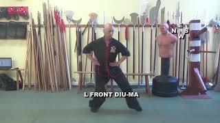 Kung Fu basic training  stances Choy Li Fut Style [upl. by Elva155]