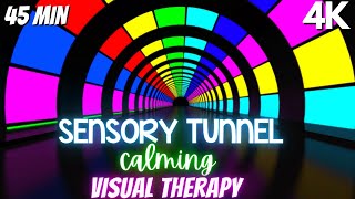 Autism Calming Music Colorful Visual Therapy Tunnel [upl. by Singhal818]